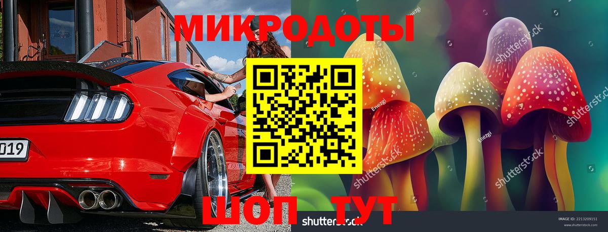 Галлюциногенные грибы Psilocybine cubensis Ногинск