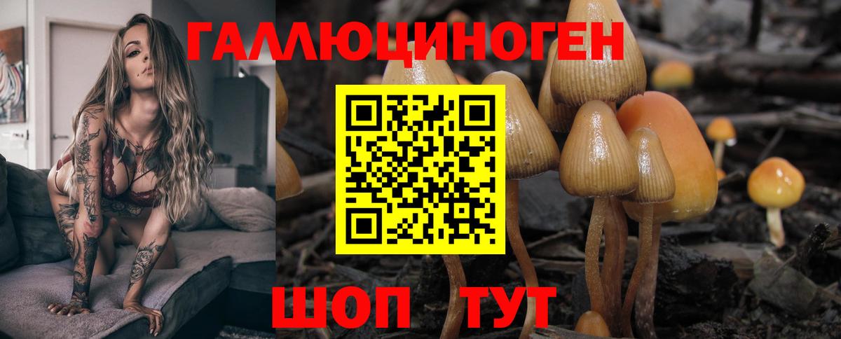 Псилоцибиновые грибы Cubensis  Псилоцибиновые грибы мухоморы  купить   Вход с VPN  Ногинск 